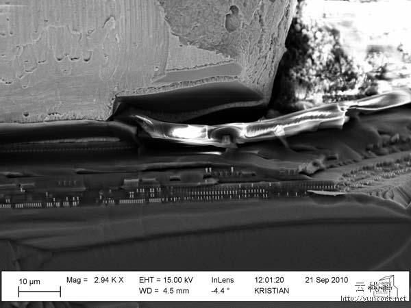 用显微镜观察cpu芯片内部